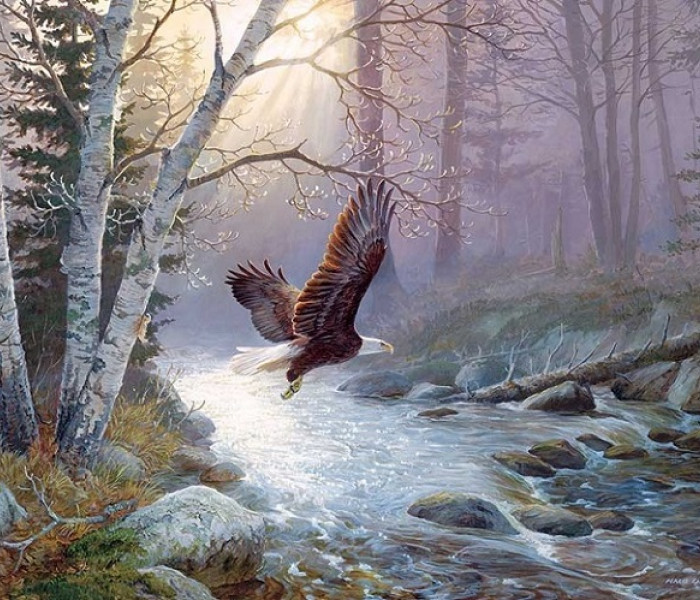 Puzzle - Cobble Hill - Aquila